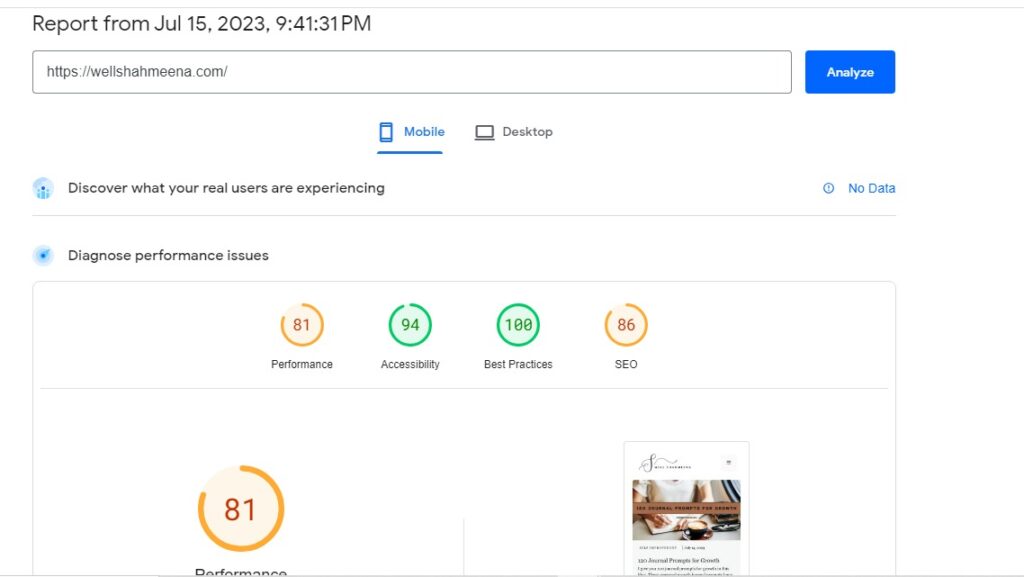 mobile page speed insights score wellshahmeena wellness website